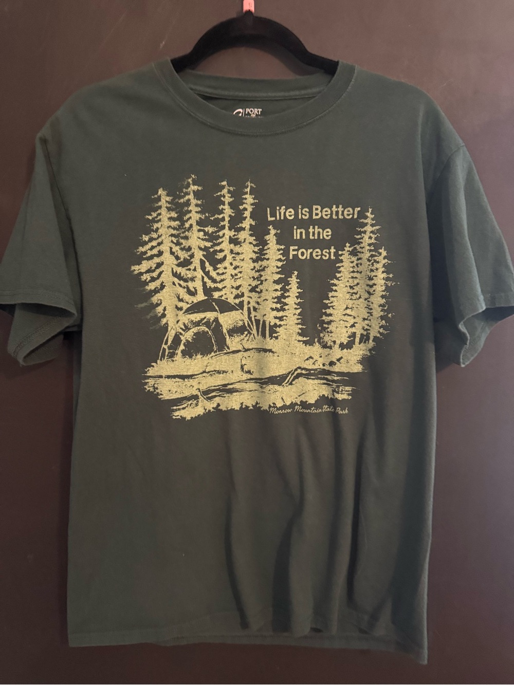 Life is Better in the Forest  Graphic Tee - Green med  Morrow Mountain State Par